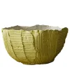 Bowl Cartoccio A1/Oliva