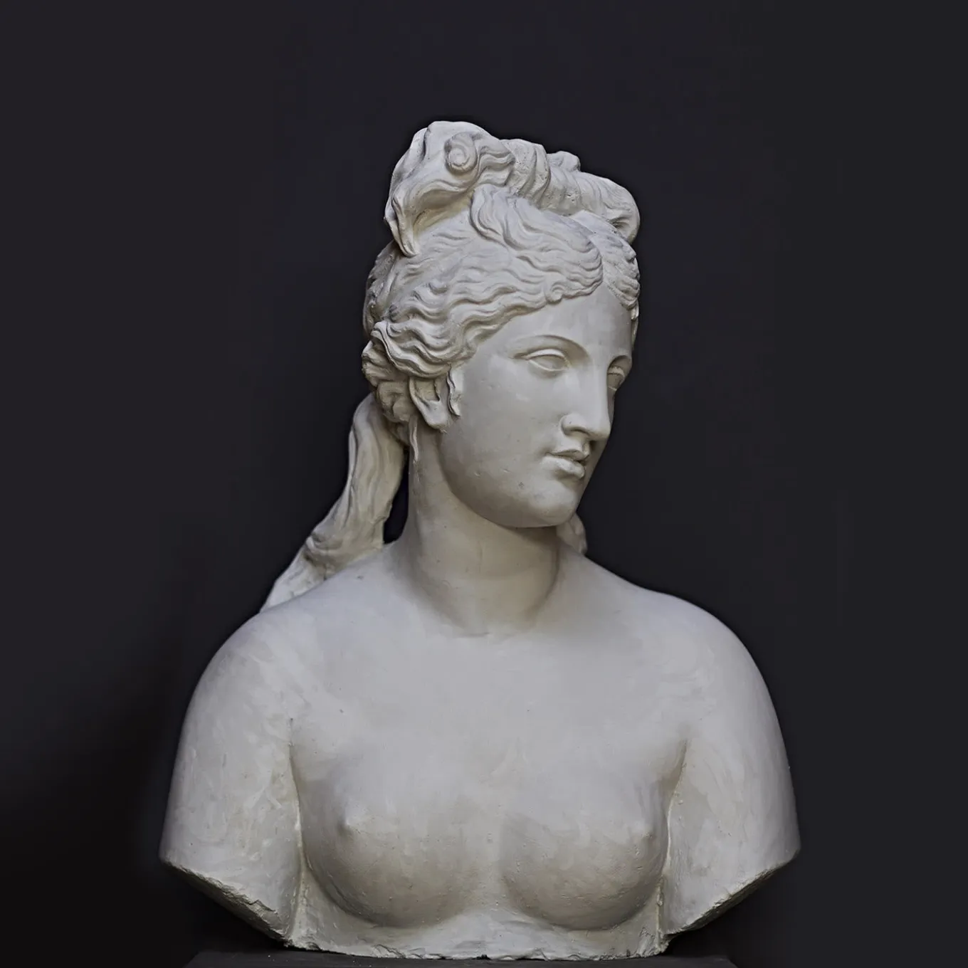 Busto di Venere Capitolina