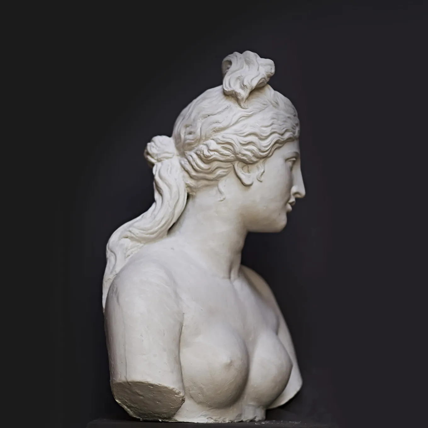 Busto di Venere Capitolina