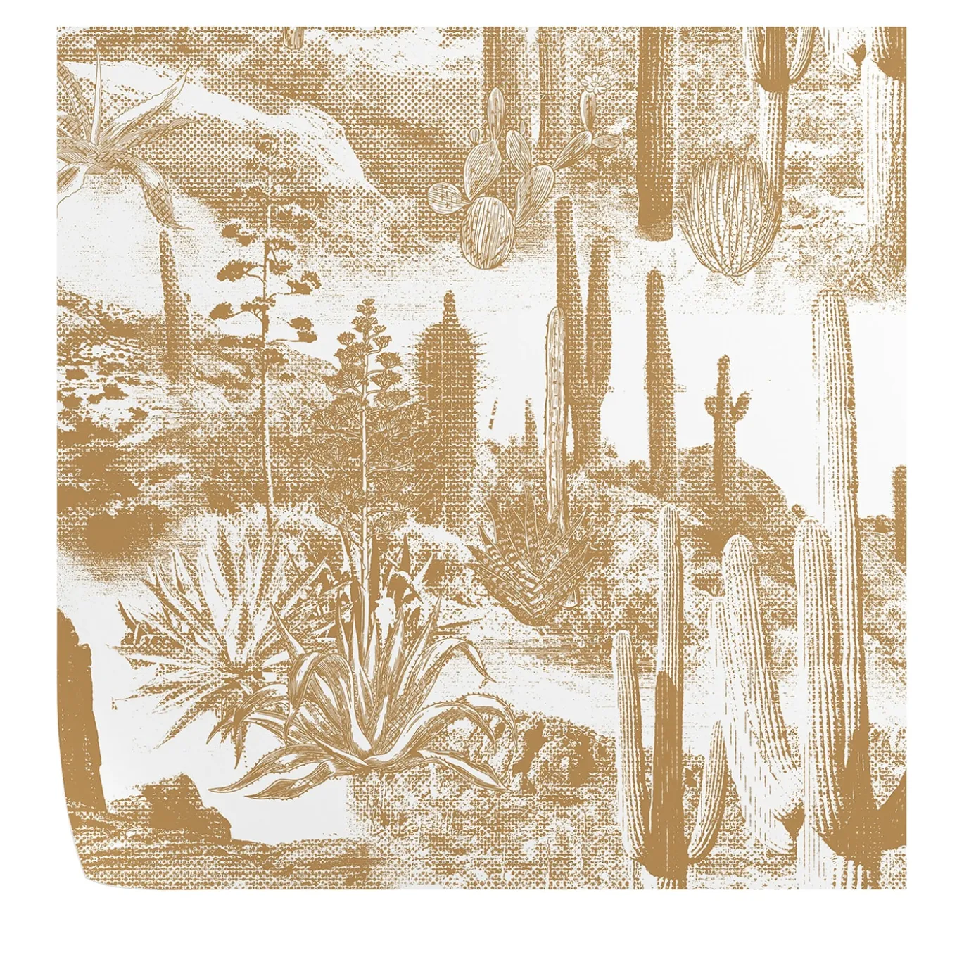 Cactus Paesaggio Boho Carta da parati