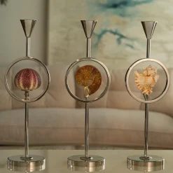 Candeliere Seashell
