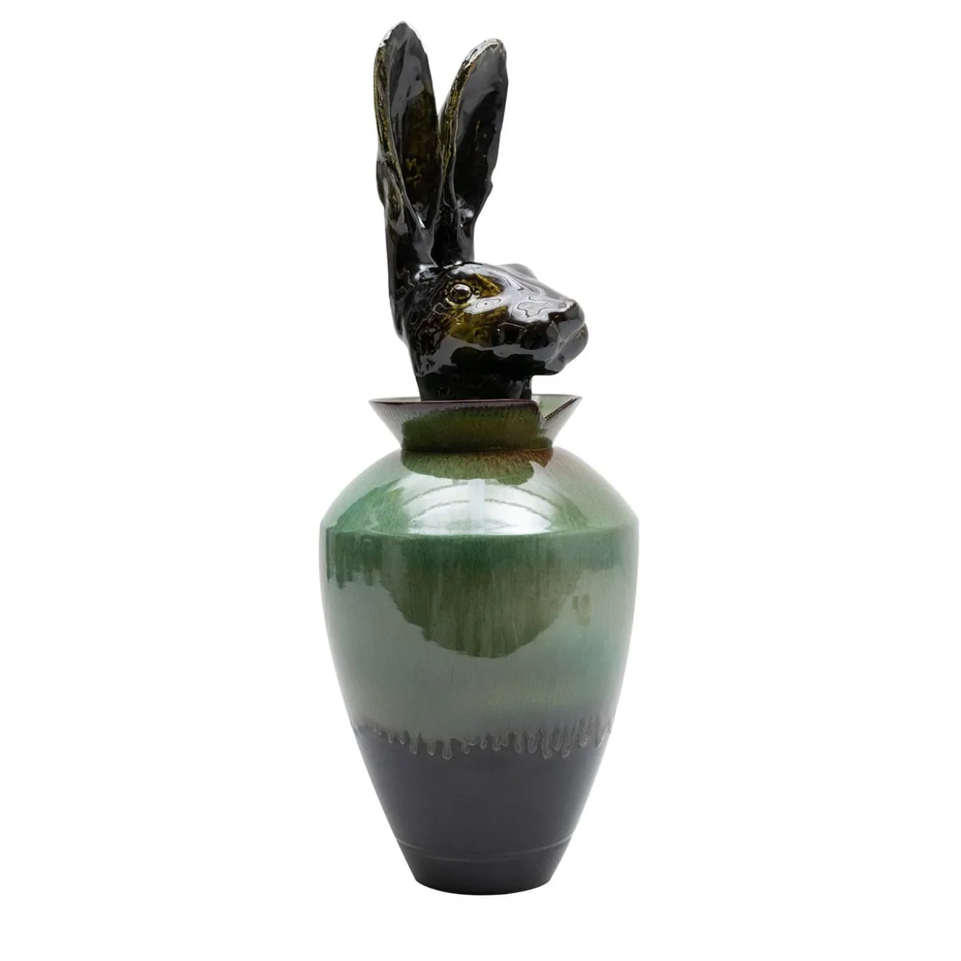 Canopo Lepre Vaso nero e verde #3
