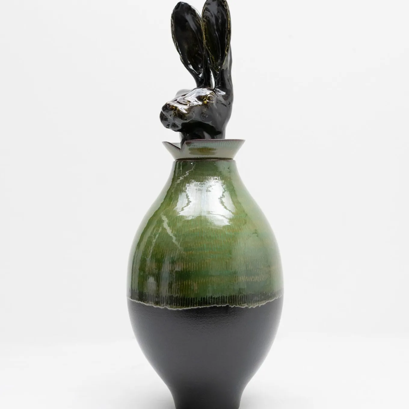 Canopo Lepre Vaso XL nero e verde