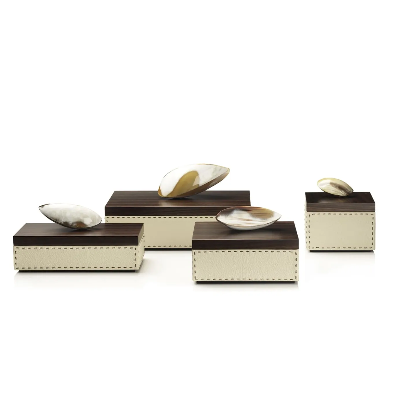 CAPRICIA box #7