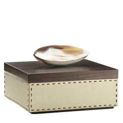 CAPRICIA box #5