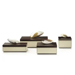 CAPRICIA box #6