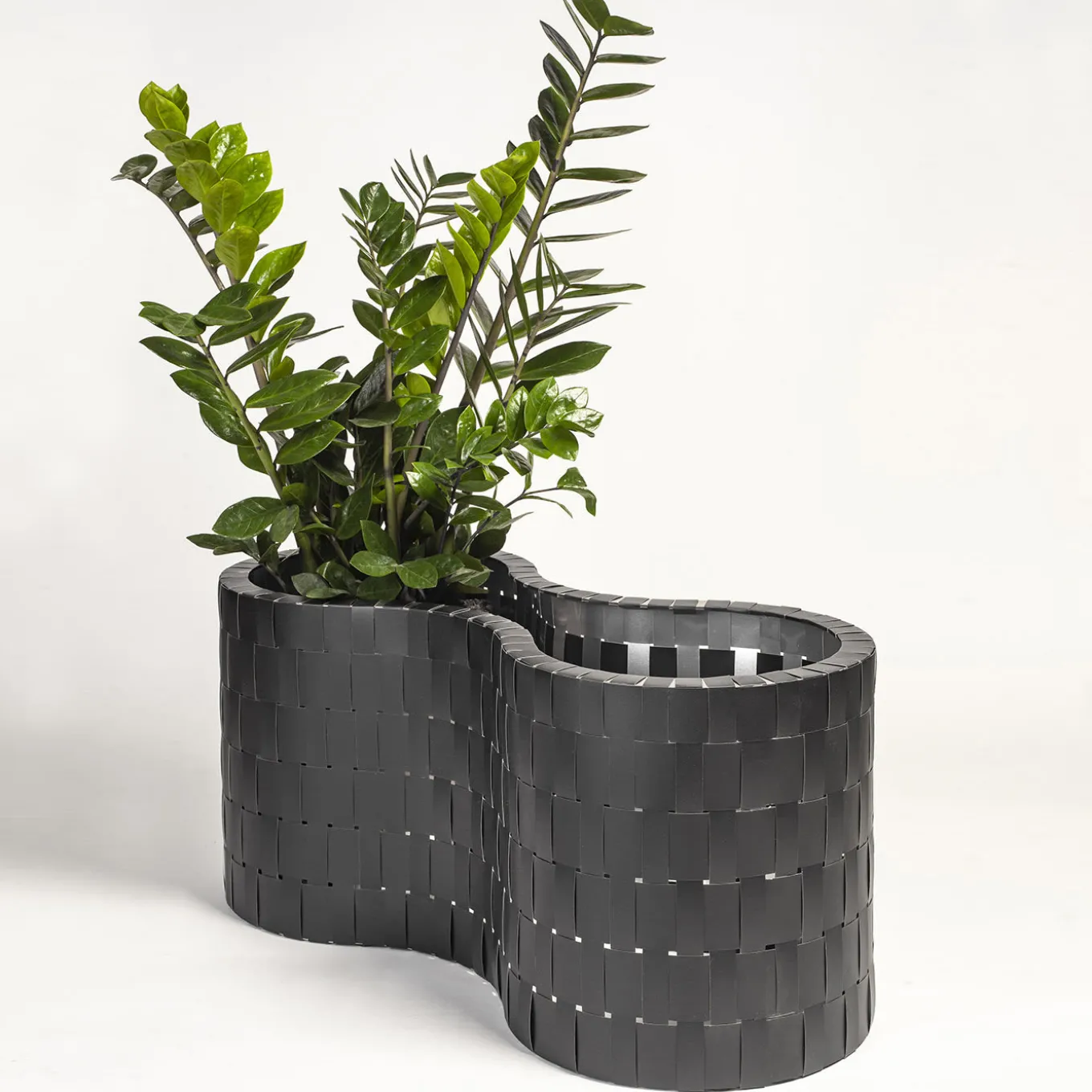 Carex Black Cachepot