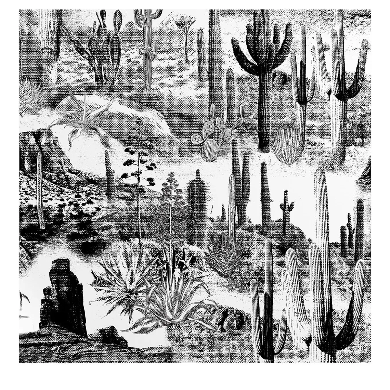 Carta da Parati con Cactus in Bianco e Nero