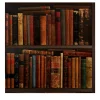 Carta da Parati con Libreria Vintage