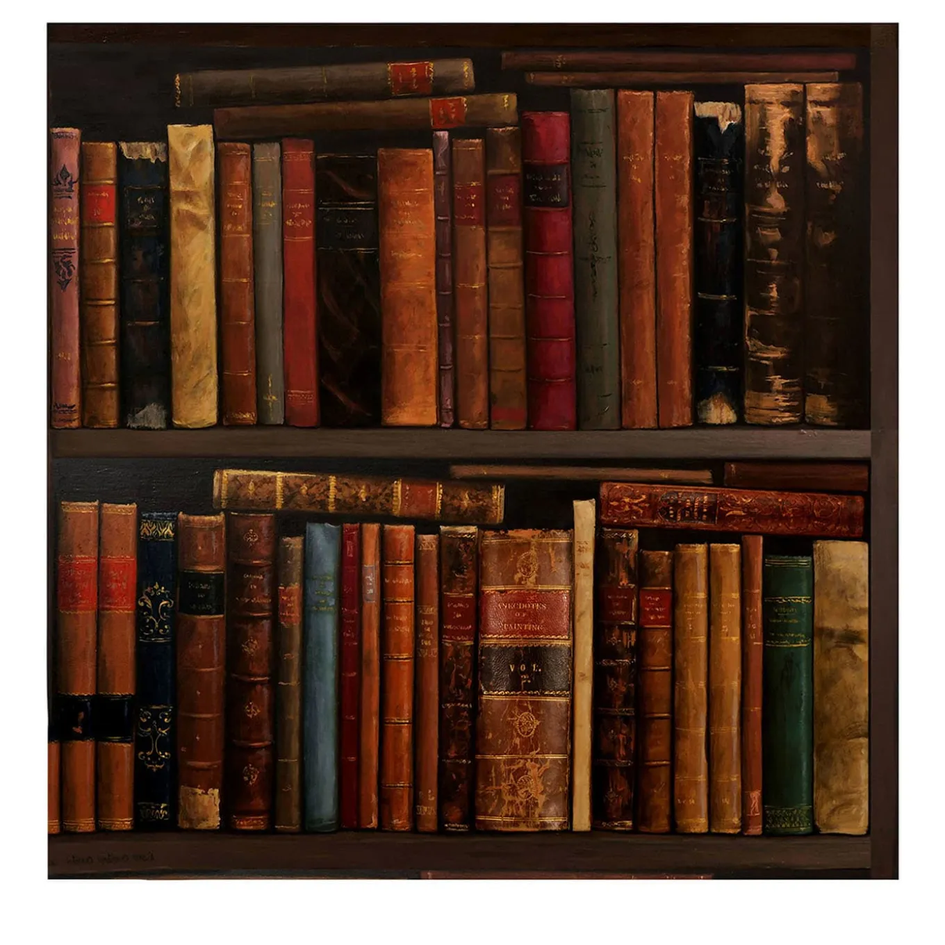 Carta da Parati con Libreria Vintage