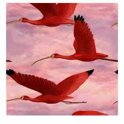 Carta da Parati con Uccello Ibis Scarlatto al Tramonto