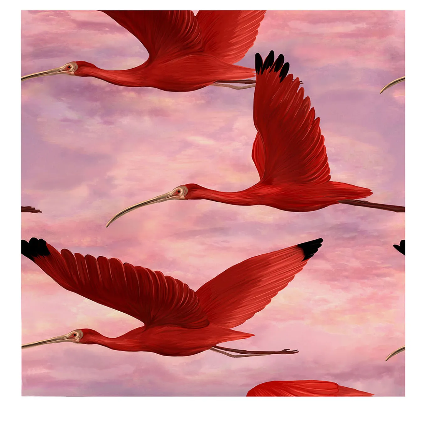 Carta da Parati con Uccello Ibis Scarlatto al Tramonto