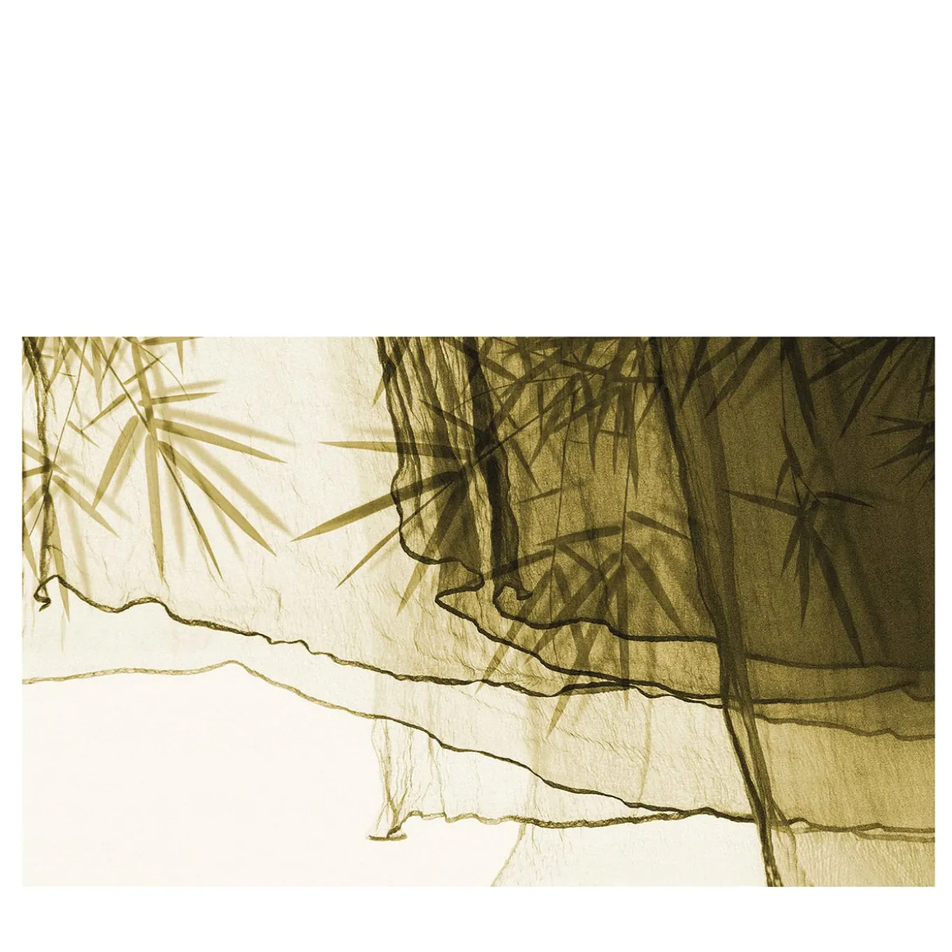 Carta da parati Floating on Bamboo