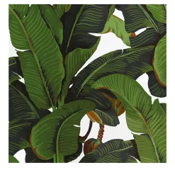 Carta da Parati Tropicale Verde e Bianca con Foglie di Banano