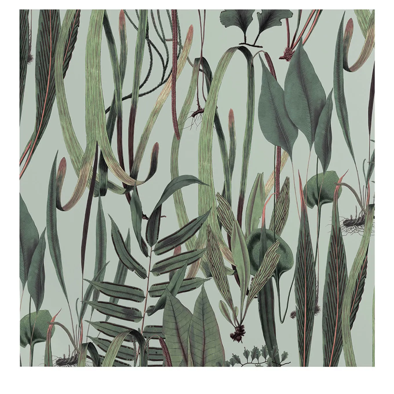 Carta da Parati Verde Botanica Vintage con Erbe