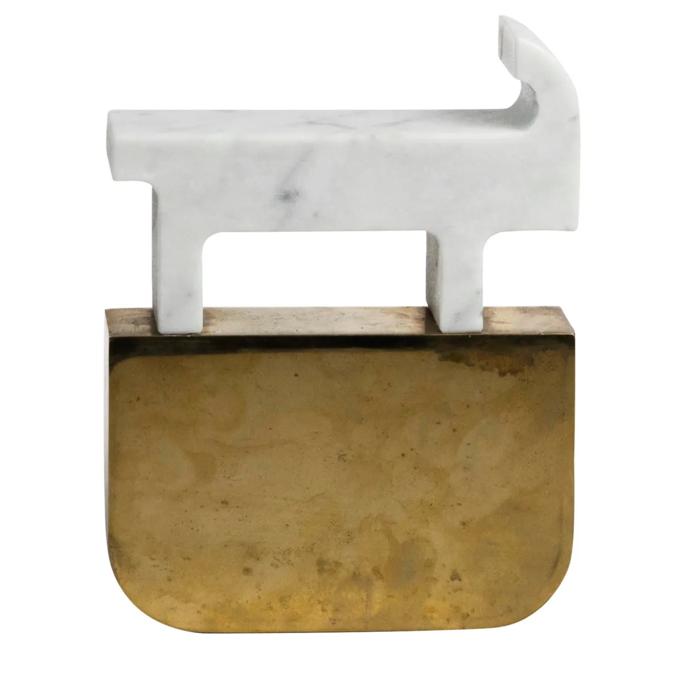 Cervo Fossili