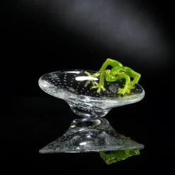 Ciotola rotonda con rana verde