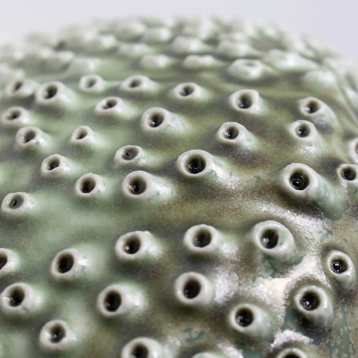 CIOTOLA VERDE OCEANO