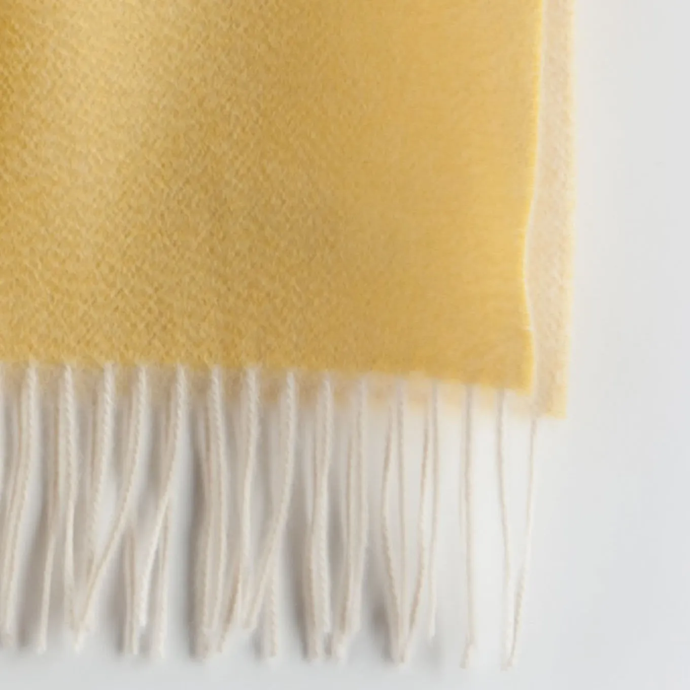 Coperta gialla di Biella
