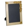 Cornice d'oro con ibisco
