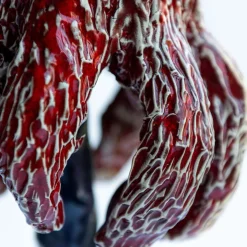 Funghi#29-2024 Scultura