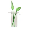 Grande vaso tropicale Kansashi
