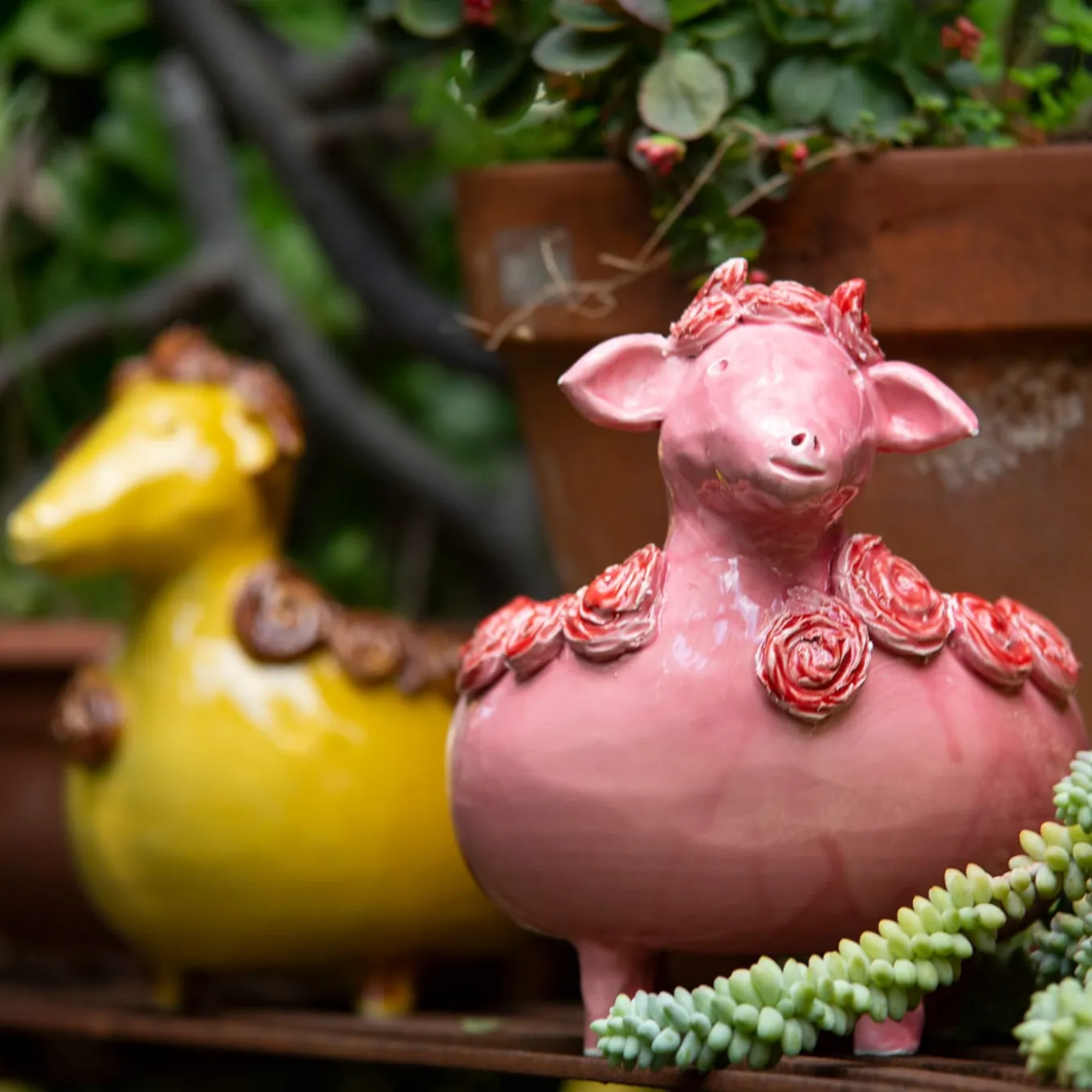 Il portavaso Pink Sheep