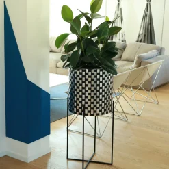 Nexum Optical 60 Nero Chachepot