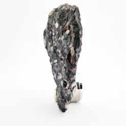 Orologio scultura Nautilo di Nino Basso