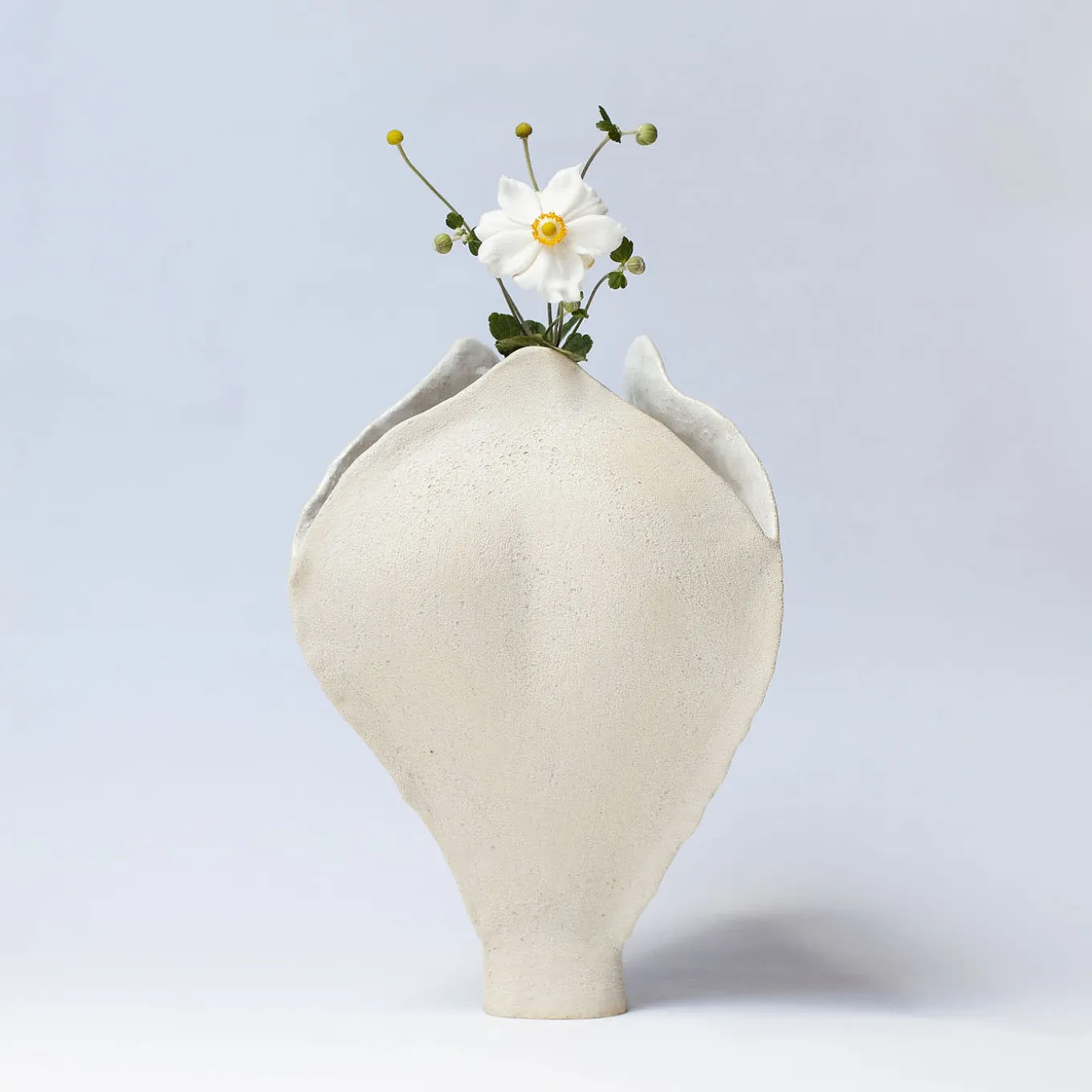 Ossa Iris Vaso in gres bianco smaltato