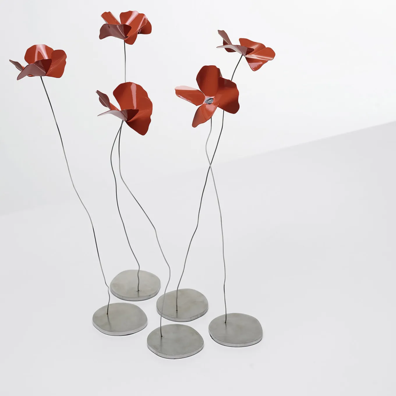 Papavero Scultura alta di fiori rossi