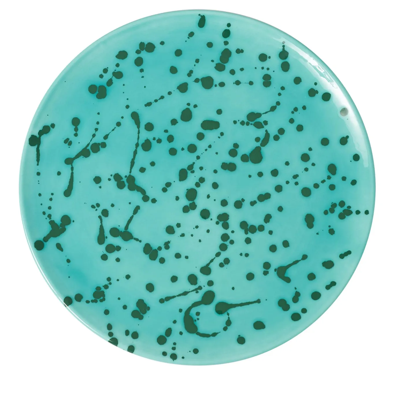 Piatto decorativo in ceramica verde e acqua