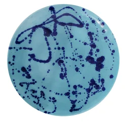 Piatto decorativo in ceramica celeste e blu