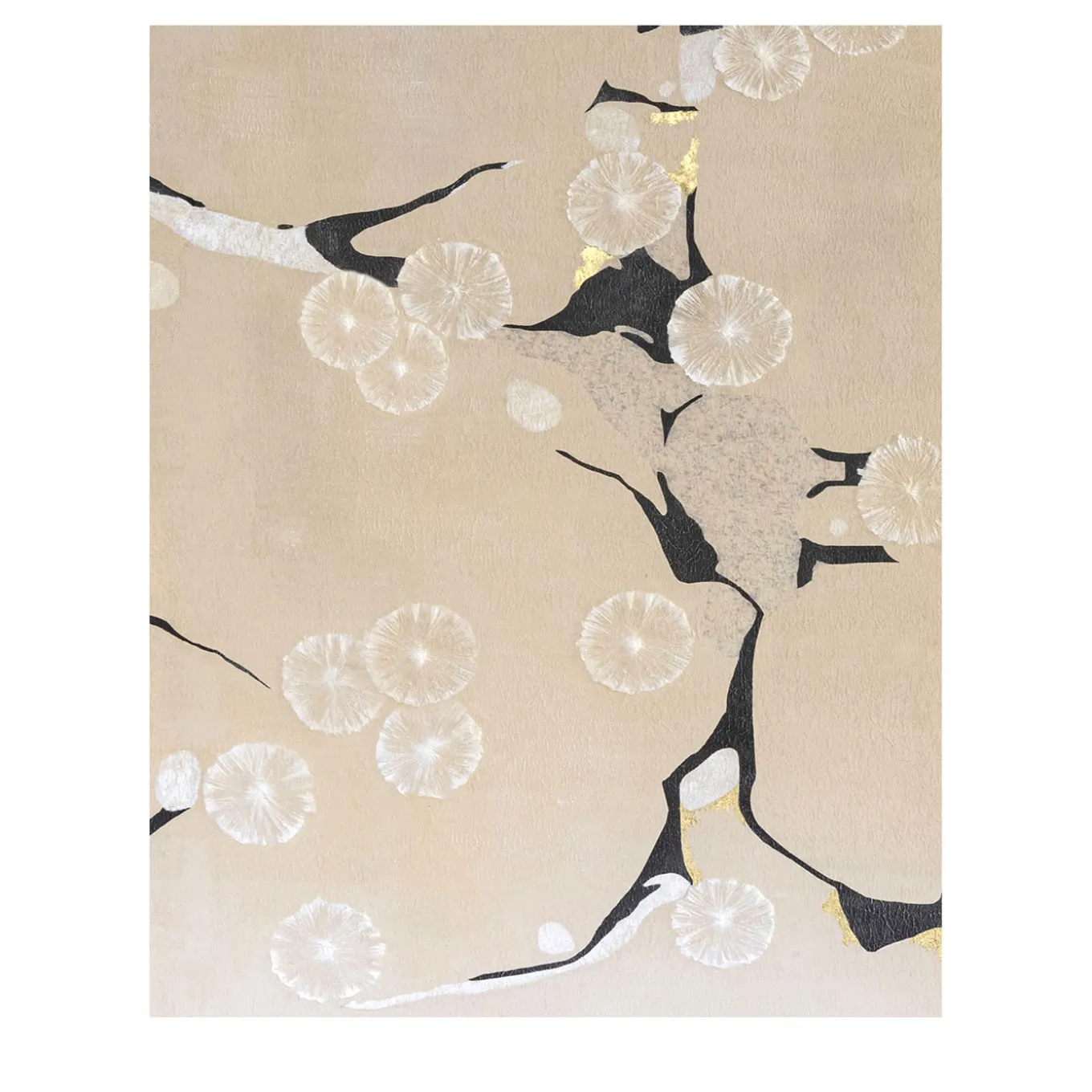Pittura Tender Flora