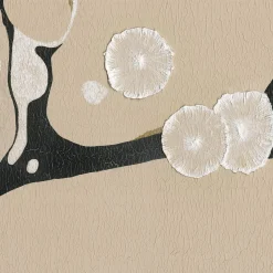 Pittura Tender Flora