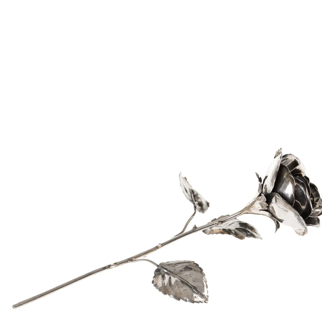 Rosa d'argento