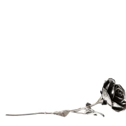Rosa d'argento