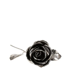 Rosa d'argento