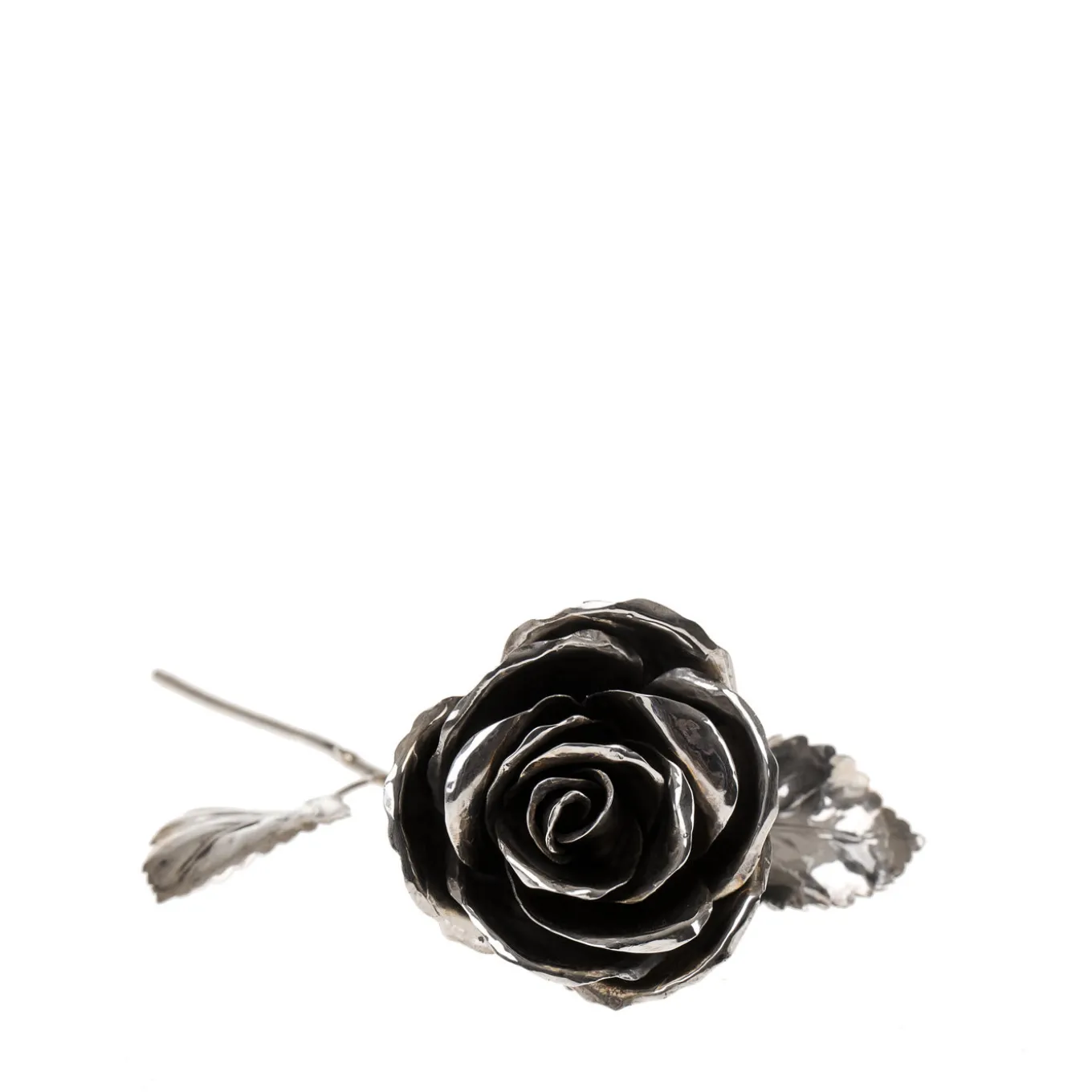 Rosa d'argento