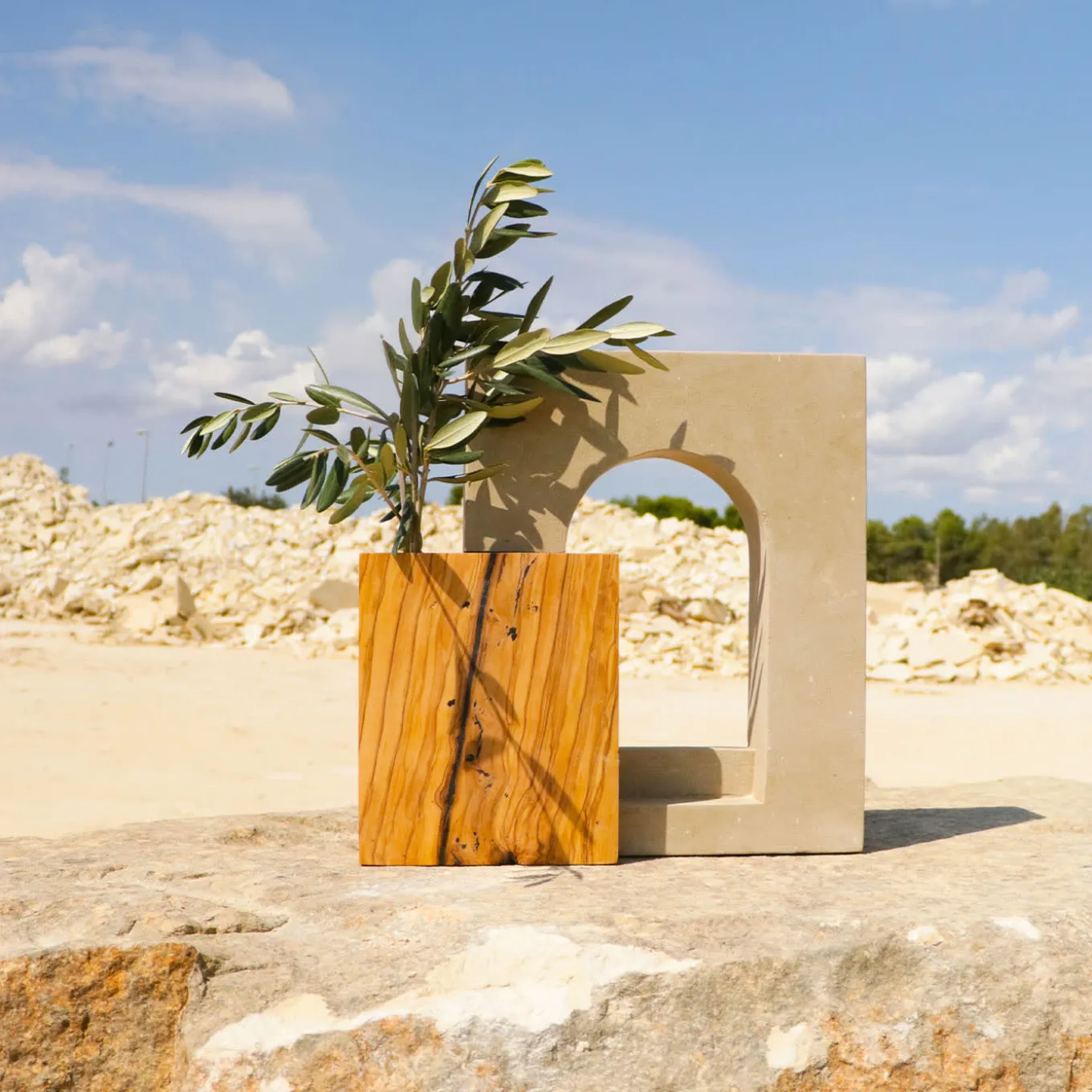 Ruderi 03 Scultura in Legno d'Ulivo e Pietra Leccese