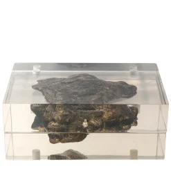 Scatola azimutale sideroide di Nikos Sideris e CTRLZAK