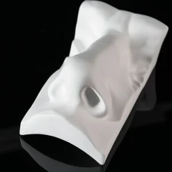 Scultura bianca del naso di David