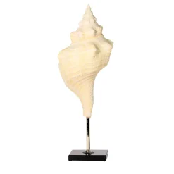 Scultura con piedistallo Pleuroploca
