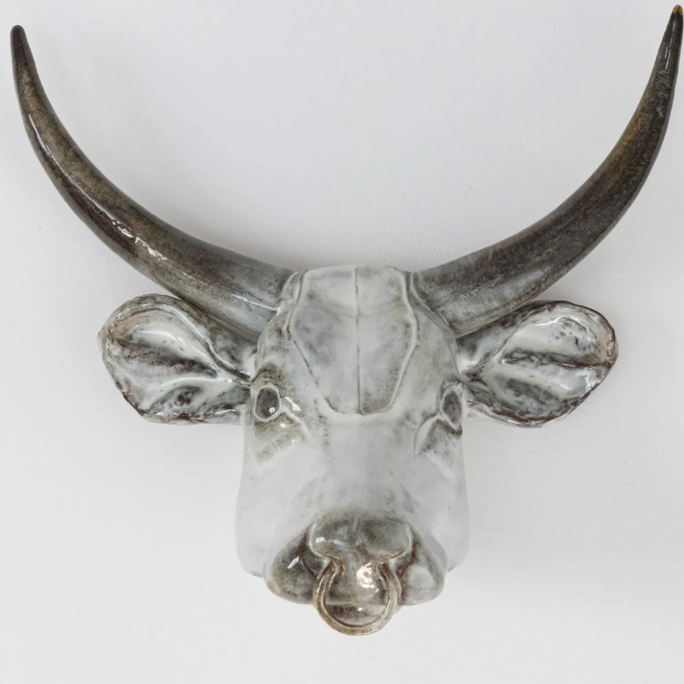 Scultura da parete con trofeo del toro
