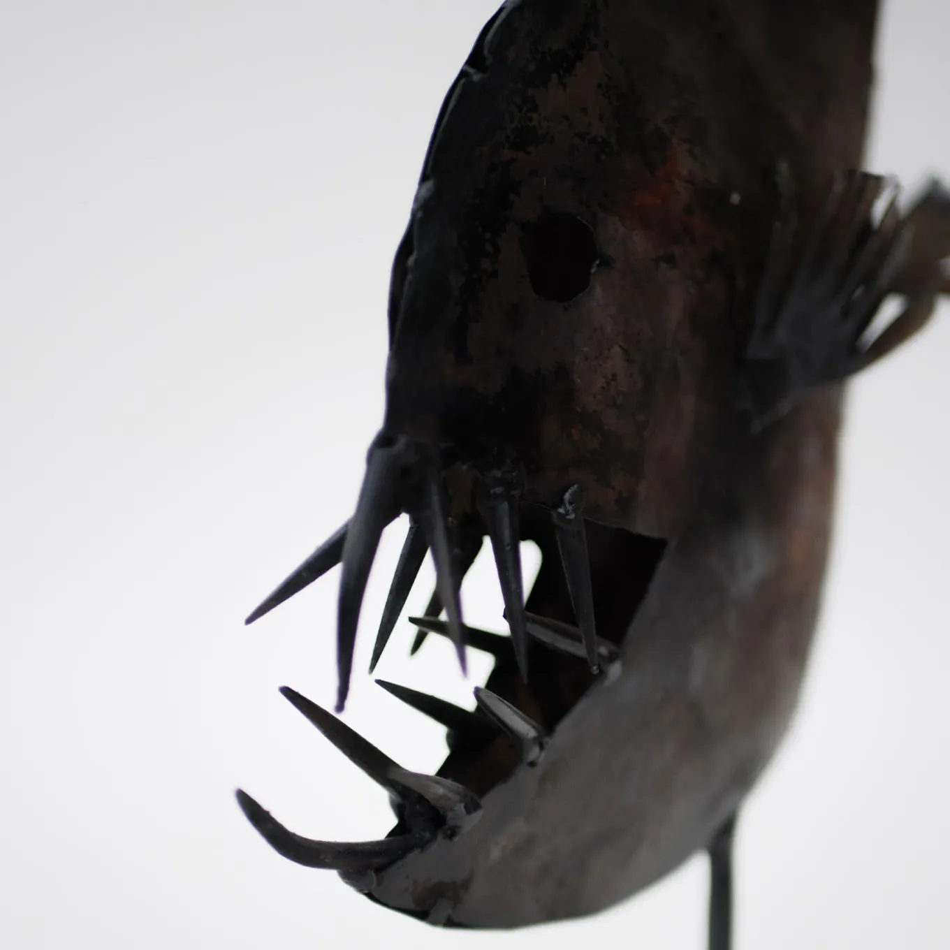 Scultura di piranha