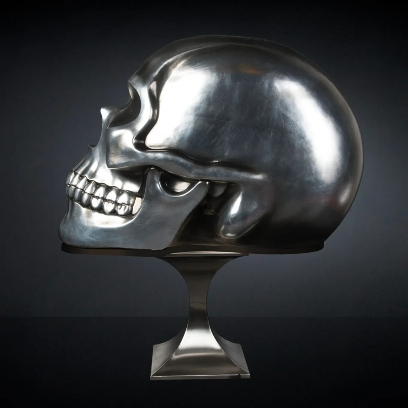 Scultura di teschio nera e argento