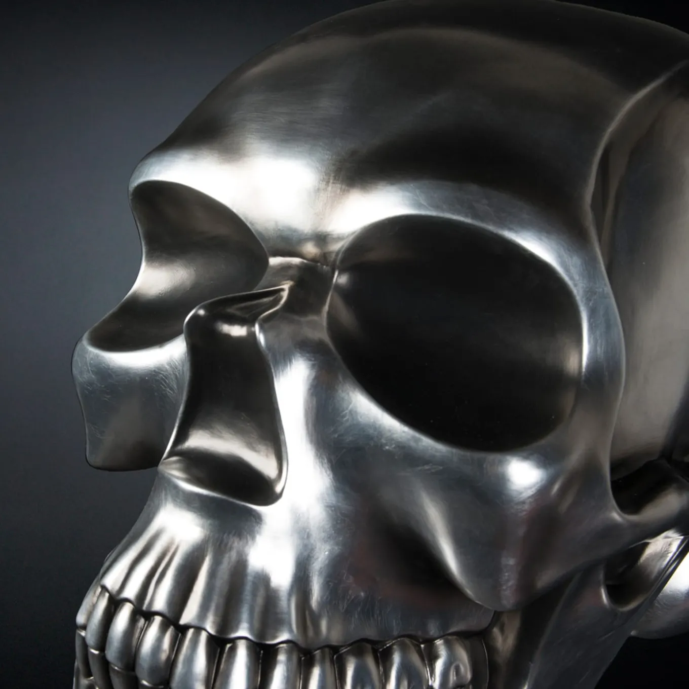 Scultura di teschio nera e argento