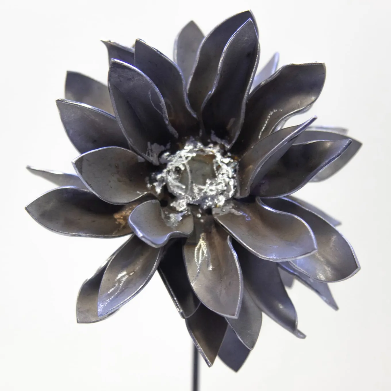 Scultura fitomorfa Dalia