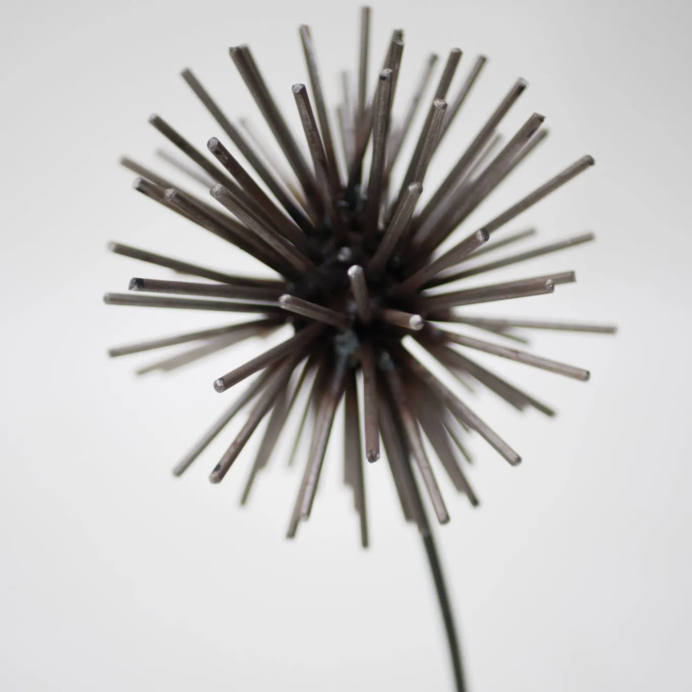 Scultura Il Soffione