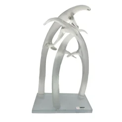 Scultura in cristallo trasparente Corni